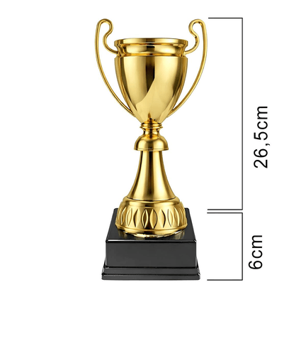 Kişiye özel Büyük boy XL şampiyon kupası ödül kupası
