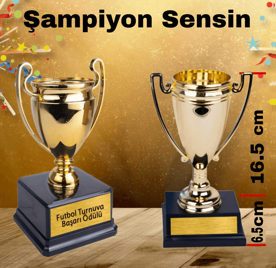 Kişiye özel BÜYÜK boy Sen tasarla kişiye özel şampiyon ödül kupası sevgiliye anneye arkadaşa hediye