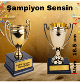 Kişiye özel BÜYÜK boy Sen tasarla kişiye özel şampiyon ödül kupası sevgiliye anneye arkadaşa hediye