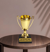 Kişiye özel Orta boy Sen tasarla kişiye özel şampiyon ödül kupası sevgiliye anneye arkadaşa hediye