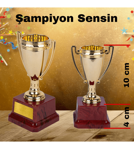 Kişiye özel Küçük boy Sen tasarla kişiye özel şampiyon ödül kupası sevgiliye anneye arkadaşa hediye