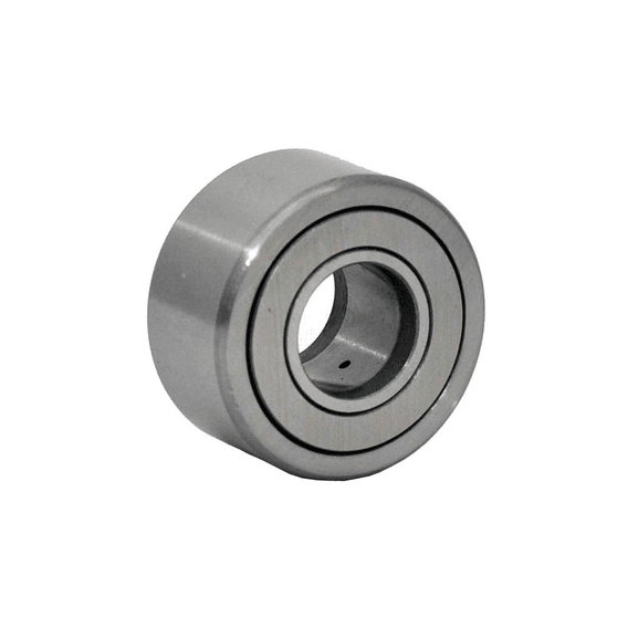 NAST.20.ZZ IKO RULMAN